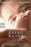 Древо жизни 2D