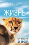 Жизнь 2D